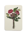 Posy of Hellebore & Scabiosa II Greeting Card