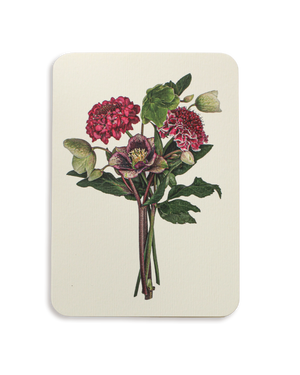 Posy of Hellebore & Scabiosa II Greeting Card