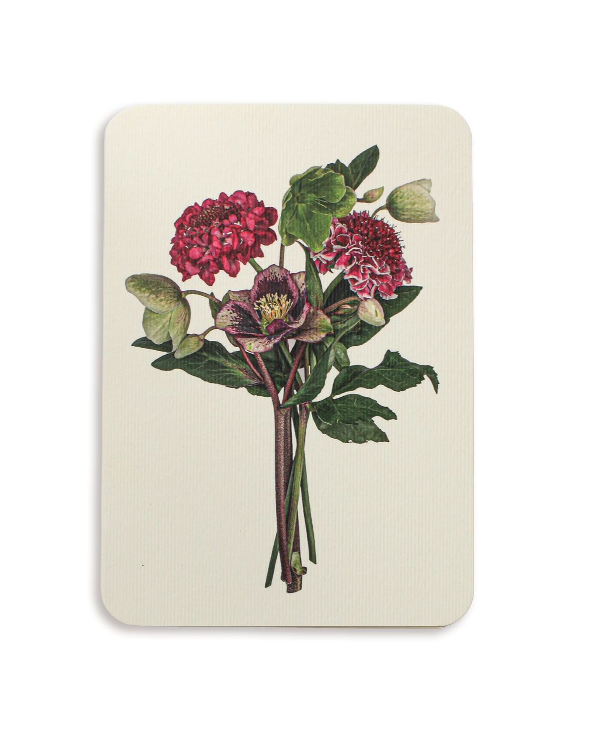 Posy of Hellebore & Scabiosa II Greeting Card