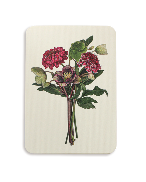 Posy of Hellebore & Scabiosa II Greeting Card