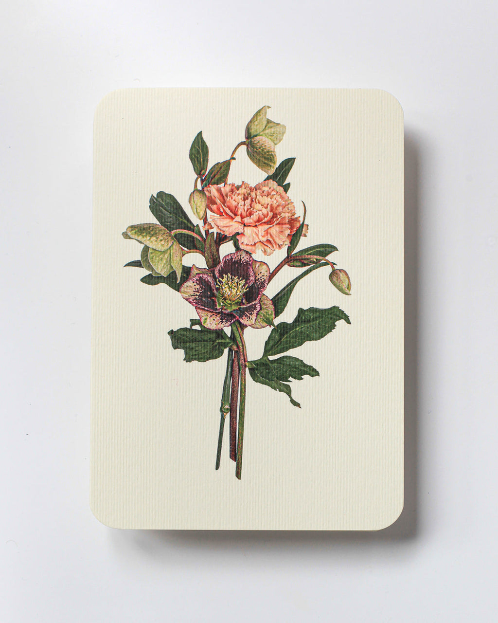 Posy of Hellebore & Carnation Greeting Card