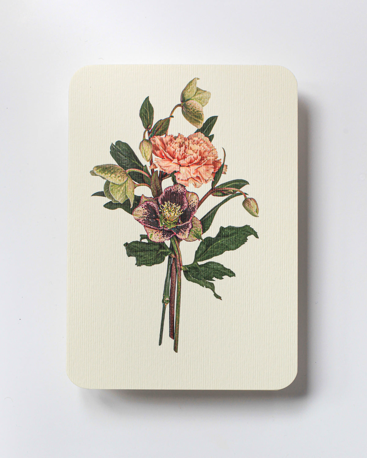 Posy of Hellebore & Carnation Greeting Card
