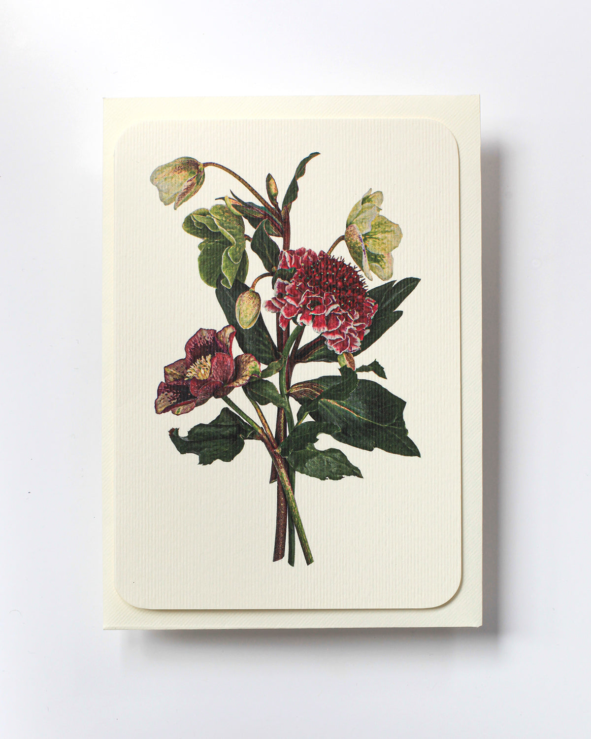 Posy of Hellebore & Scabiosa I Greeting Card