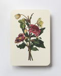 Posy of Hellebore & Scabiosa I Greeting Card