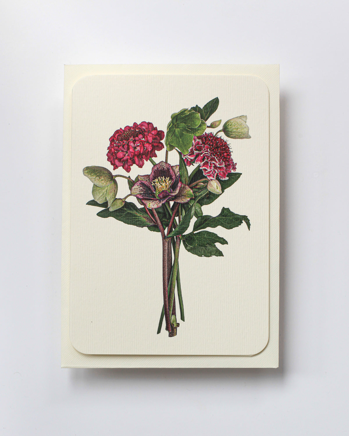 Posy of Hellebore & Scabiosa II Greeting Card