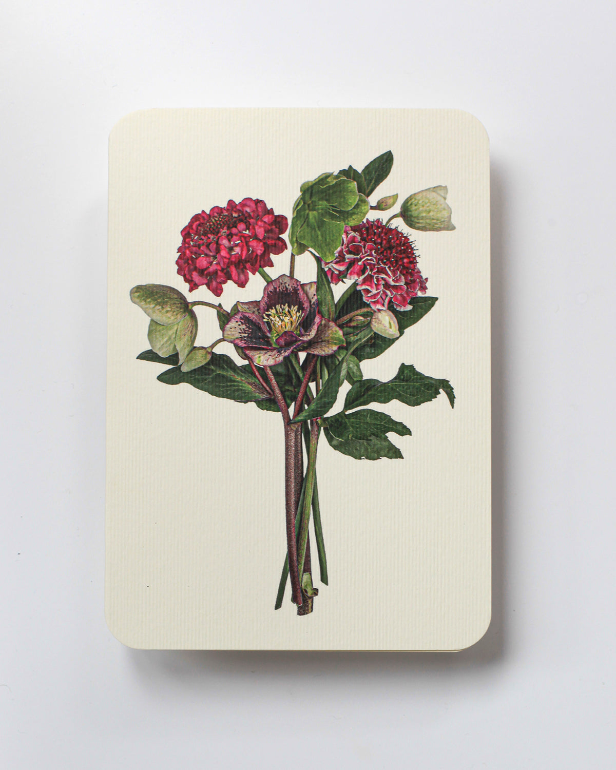 Posy of Hellebore & Scabiosa II Greeting Card