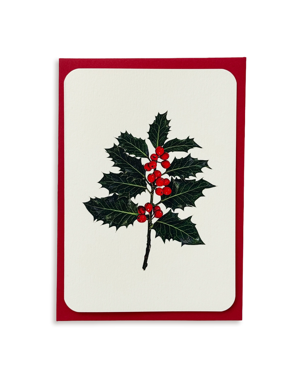 Christmas Holly Greeting Card