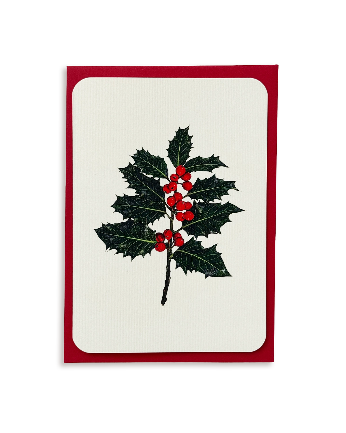 Christmas Holly Greeting Card
