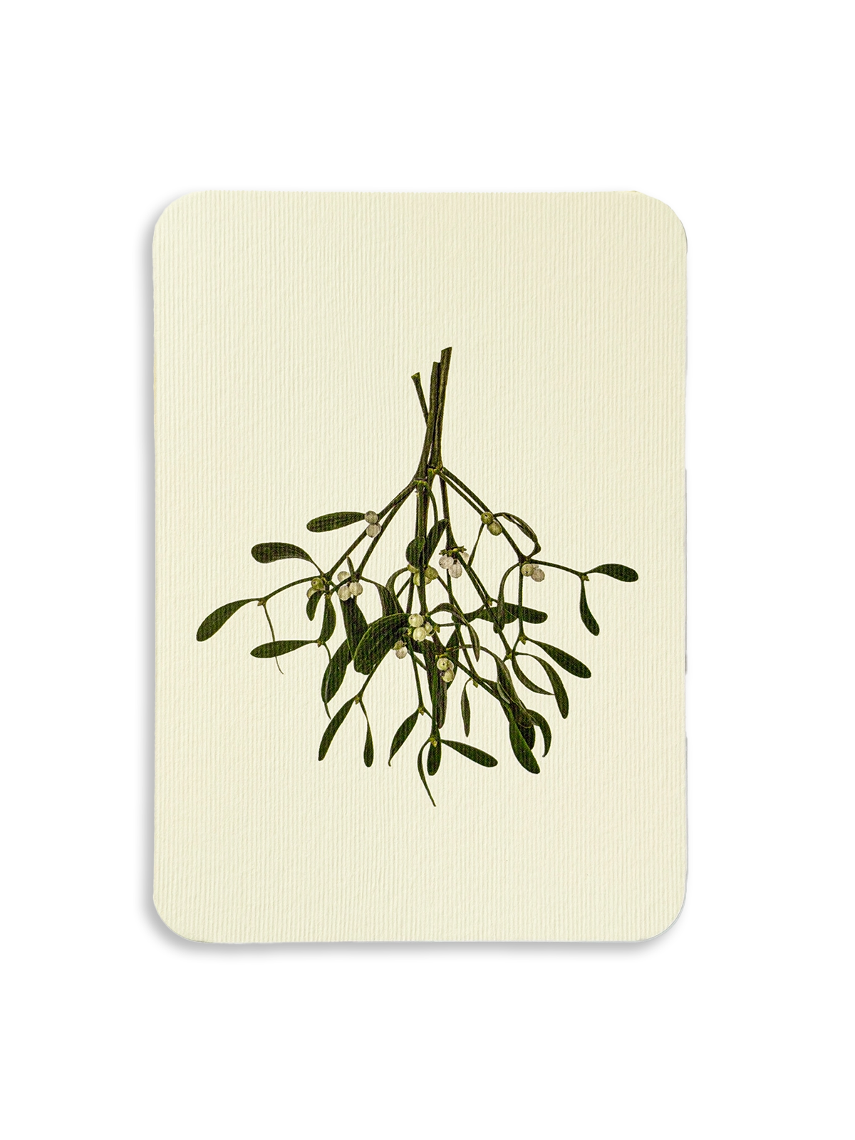 Mistletoe Branch Greeting Card
