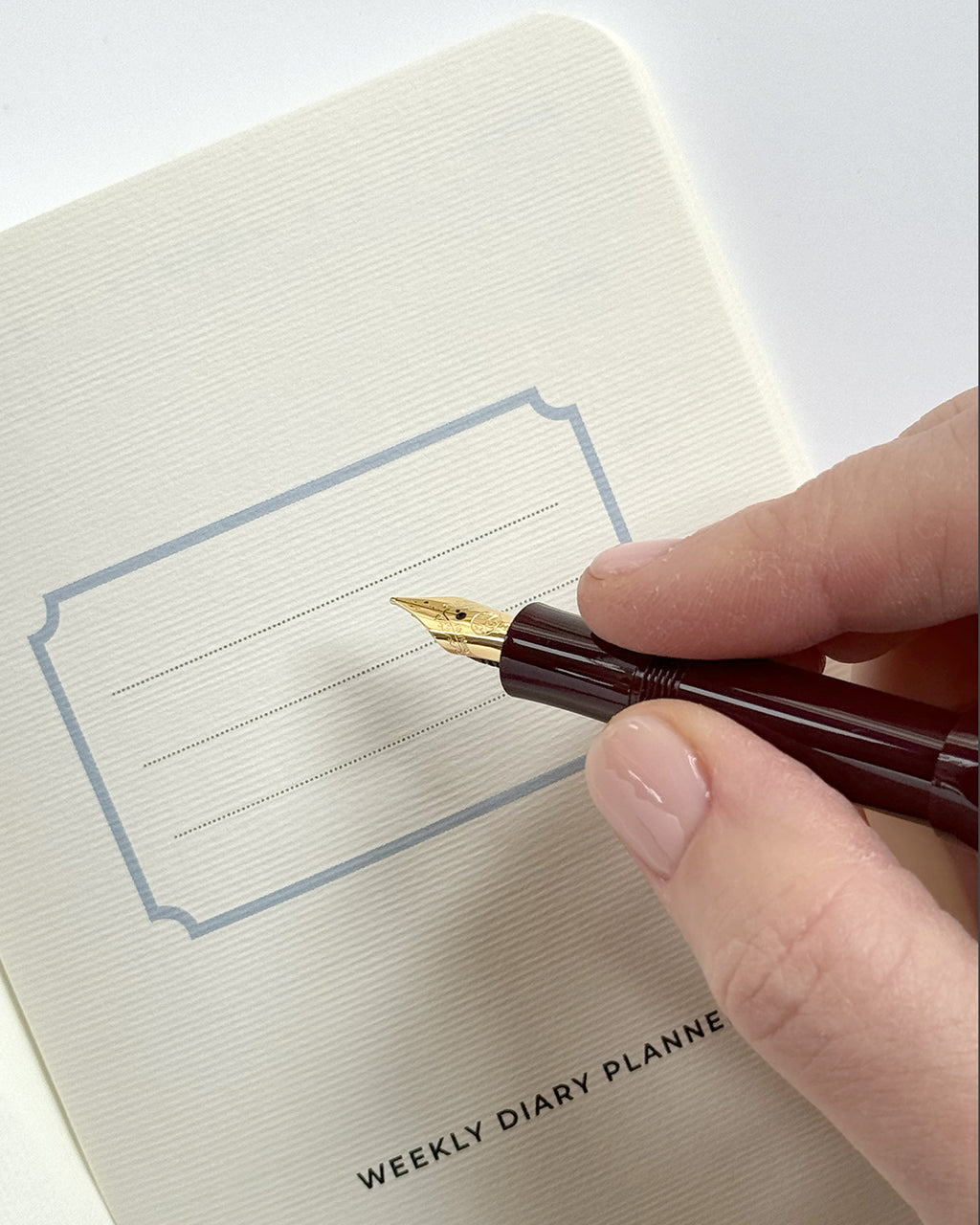 Garden Roses Notebook Set