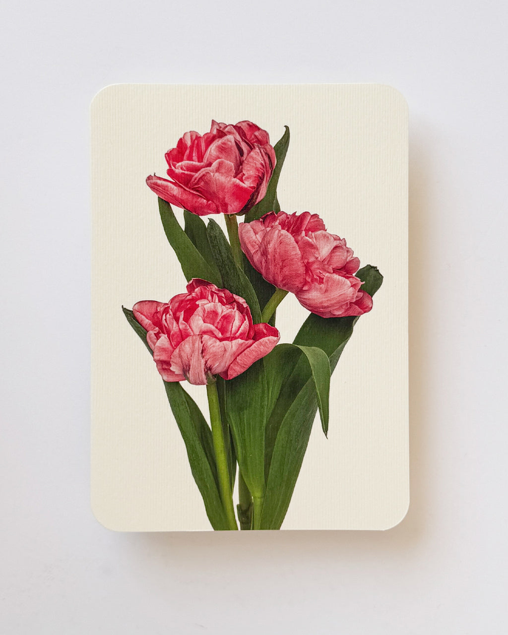 Pink Tulips Greeting Card