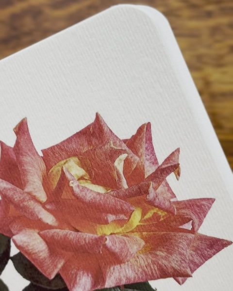 Garden Roses Notebook Set