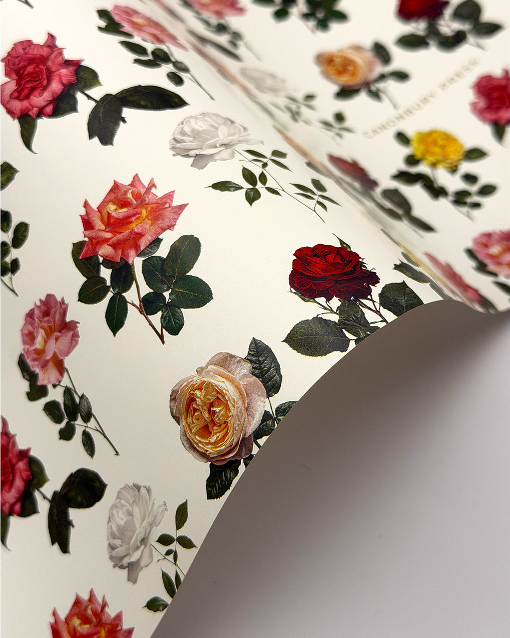 Rose Rapping Paper Design English Garden Roses Wrapping Paper | Birthday or Celebration ...