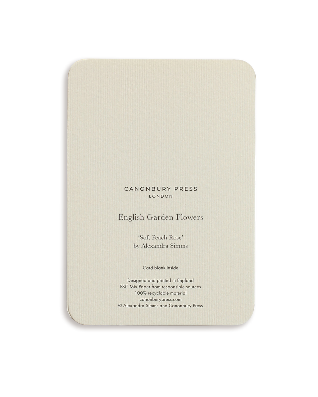 Soft Peach Rose Greeting Card