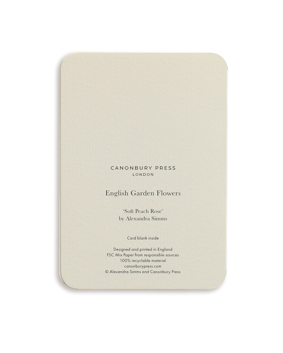 Soft Peach Rose Greeting Card