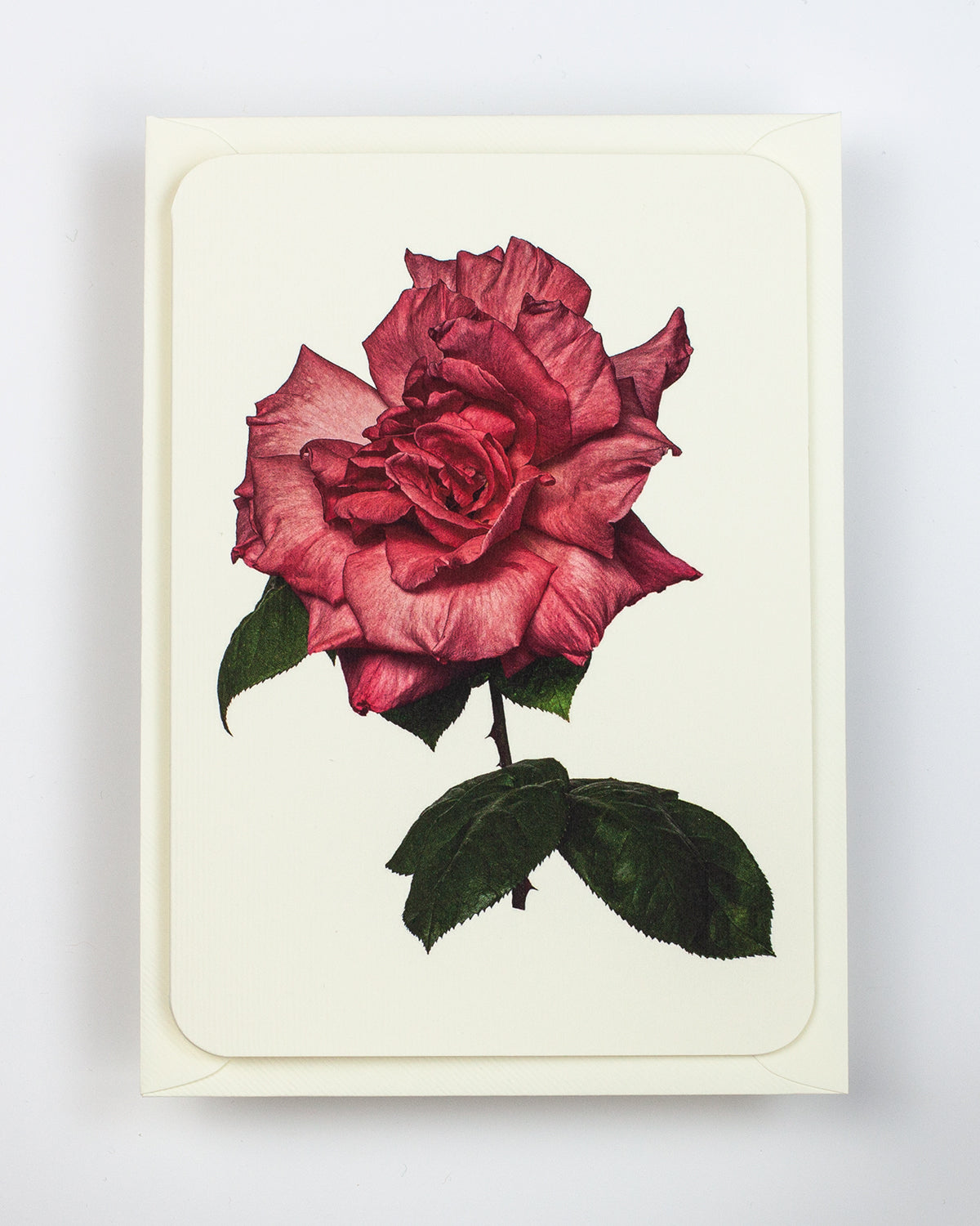 Garden Rose Notecard