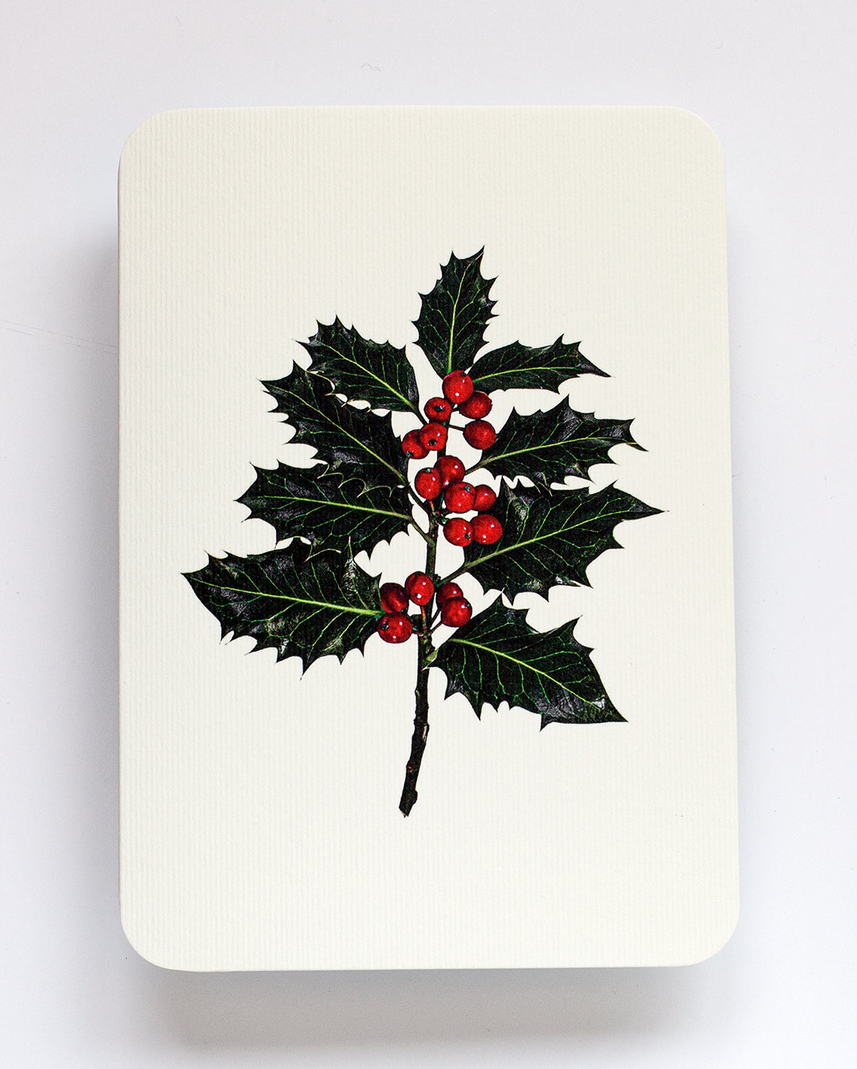 Christmas Holly: Set of 6 Notecards