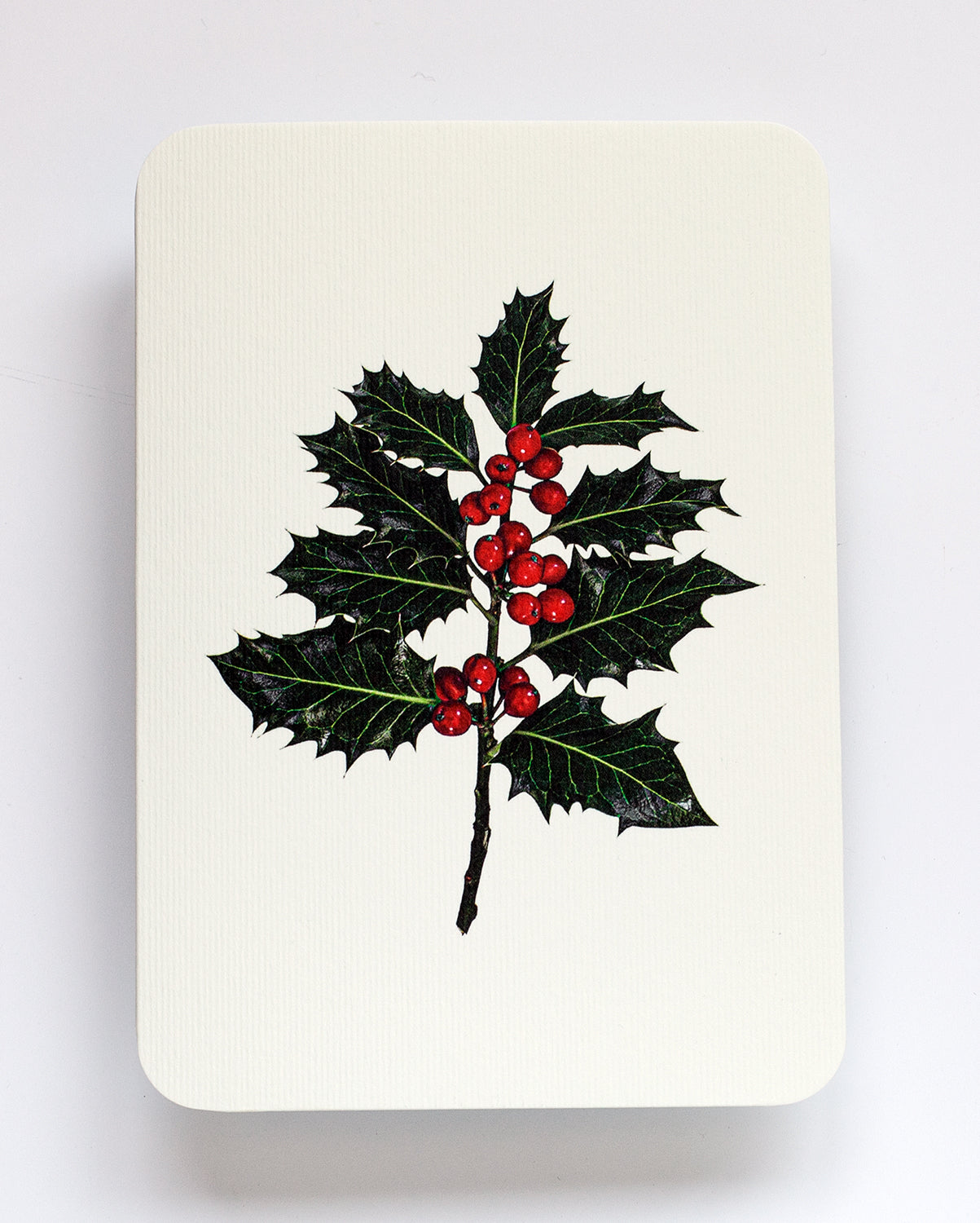 Christmas Holly: Set of 6 Greeting Cards