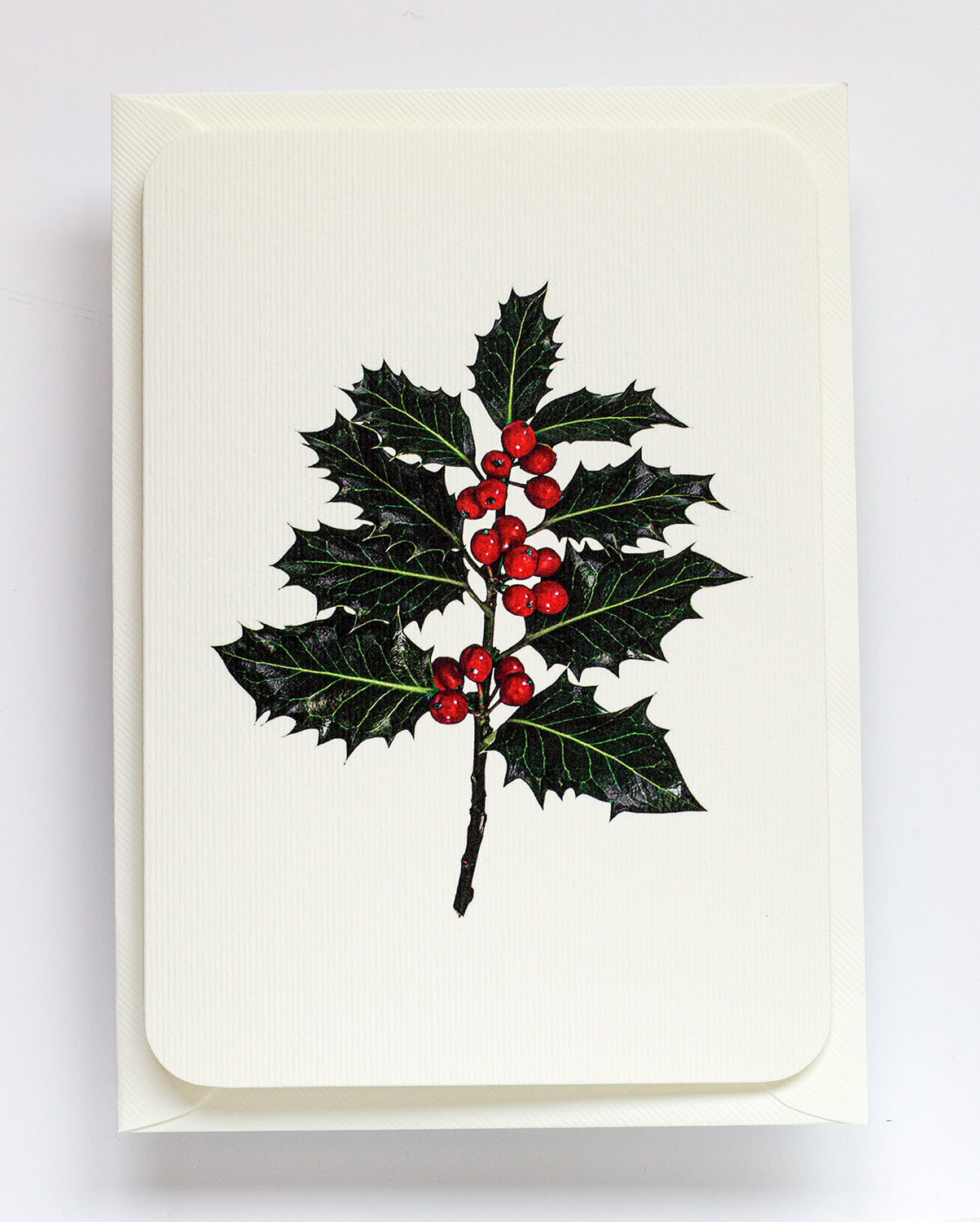 Christmas Holly: Set of 6 Greeting Cards