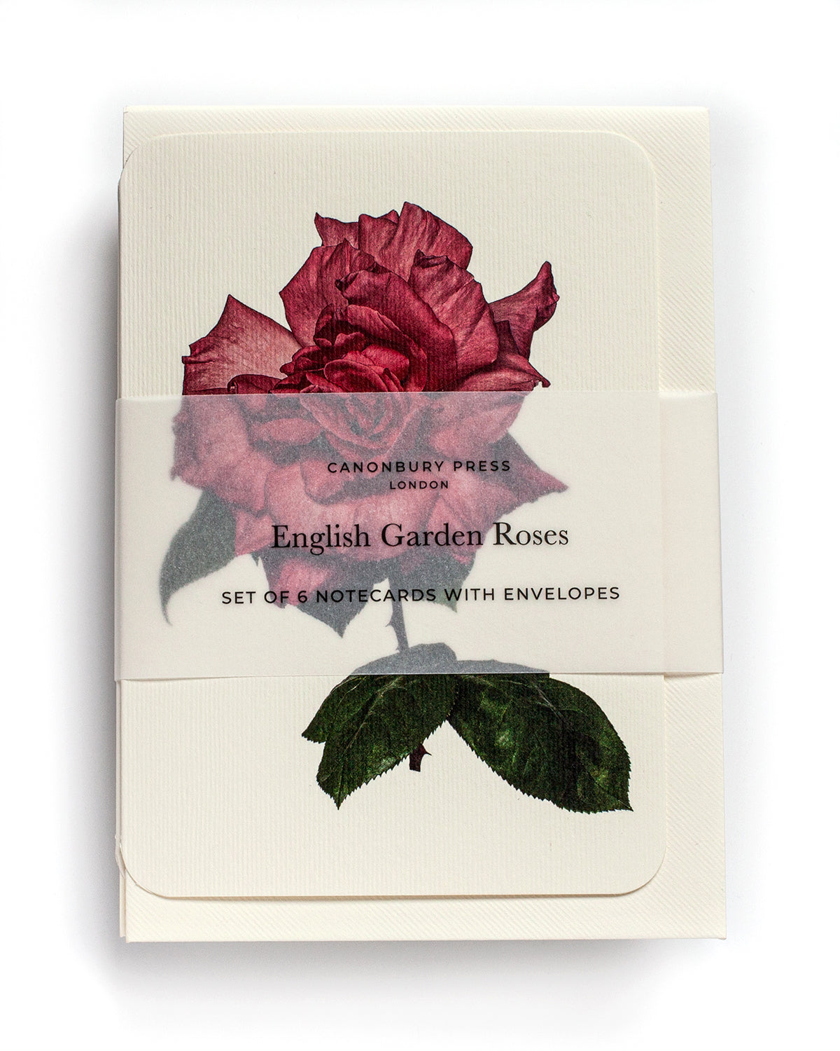 English Garden Roses: Set of 6 Greeting Cards