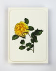 Yellow Rose Notecard
