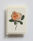 Soft Peach Rose Notecard